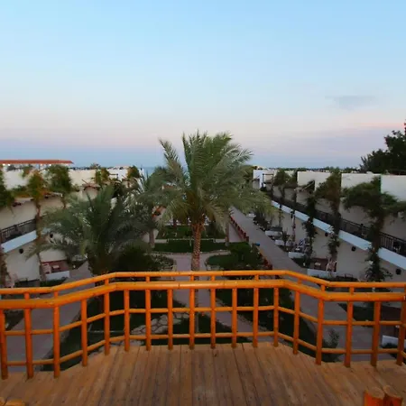 Panda Resort-2
