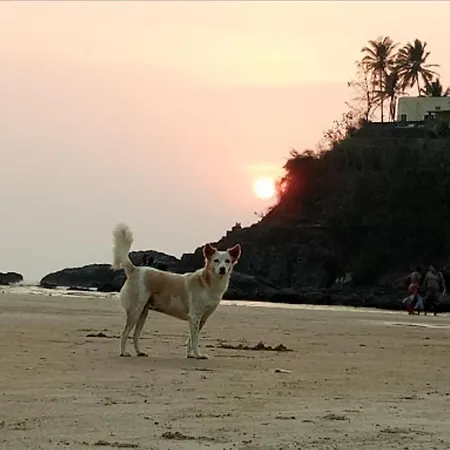 Red Rock Arambol Beach-3