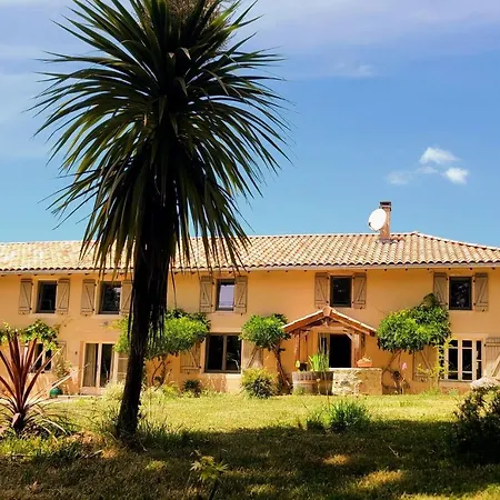 La Première Vigne-2