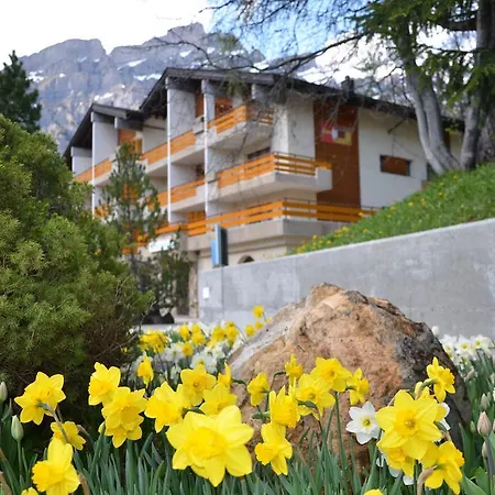 Hotel Alex-2