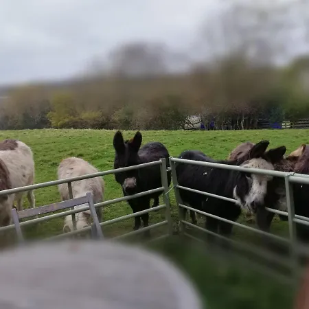 Durham Donkey Rescue Shepherd'S Hut-2
