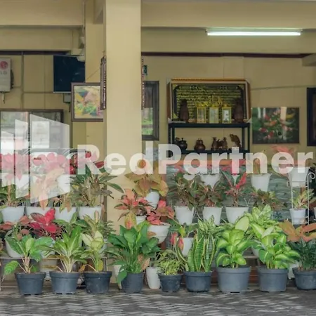 Vandhela Homestay Syariah Mitra Reddoorz-3