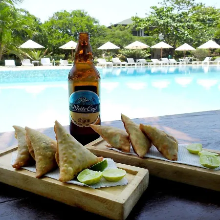 Gecko Resort-3