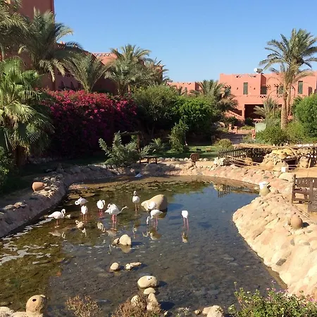 Hauza Beach Resort & Aqua-2