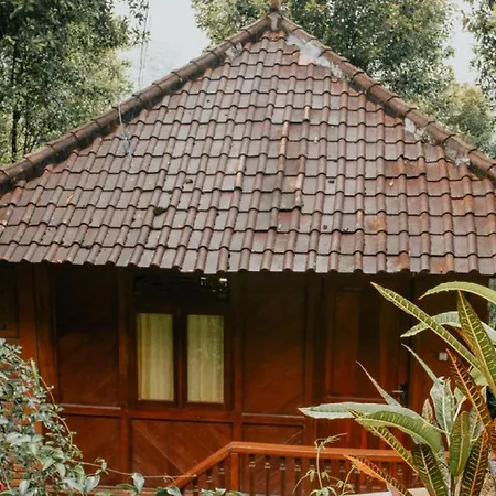 Puri Sunny Guest House , Munduk-2