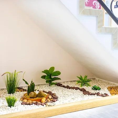 Hotel Plaza Real Boutique-3