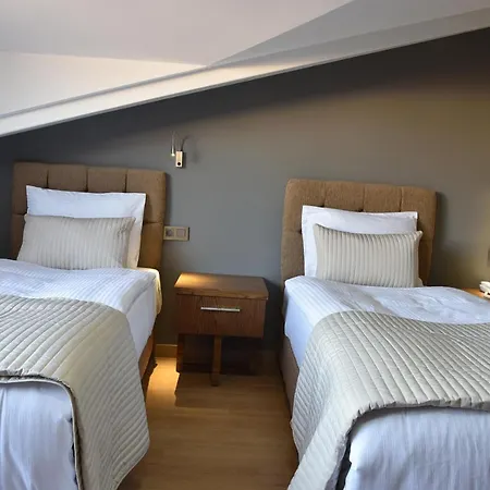 The Elegant Hotel-2