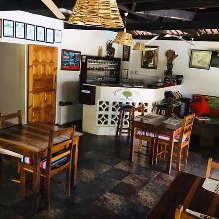 Green Tree Lodge-2