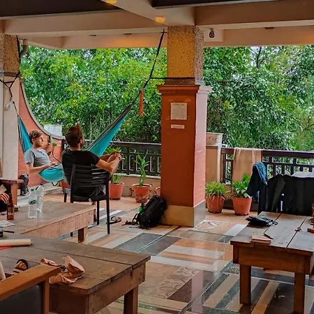 Hotel Forest Lake Backpackers' Hostel-3