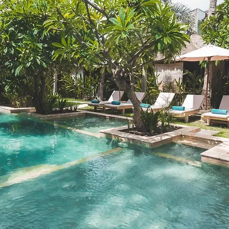 Guava Garden-2