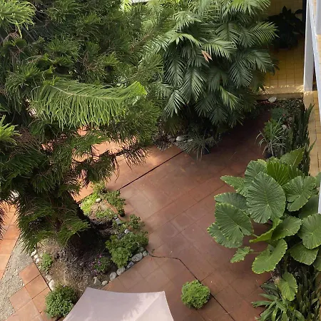 Hotel Allende Morelia-2