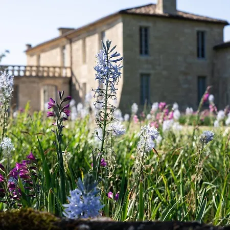 Chateau De Ferrand-2