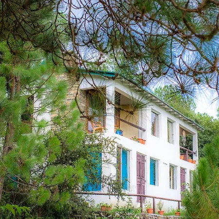 Dervish Stays, Mukteshwar-3