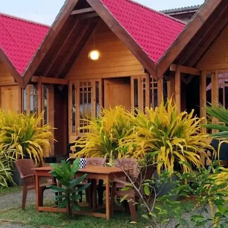 Elvis Beach Resort-2