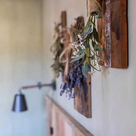 Lavendine Pure Guesthouse-3