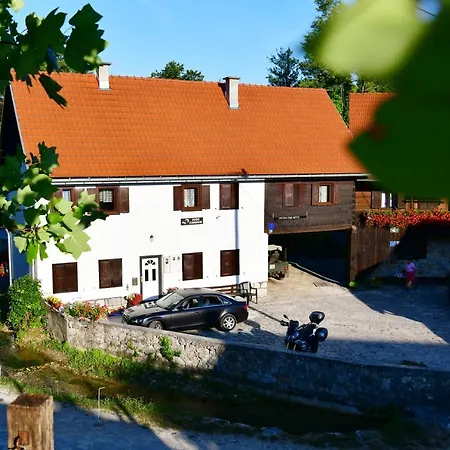 Guest House Vuceta-3