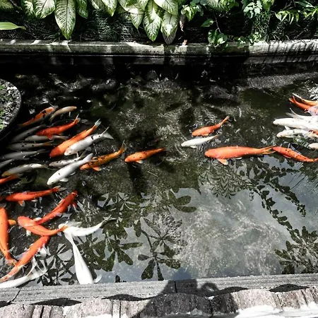 Gunung Merta Bungalows-2