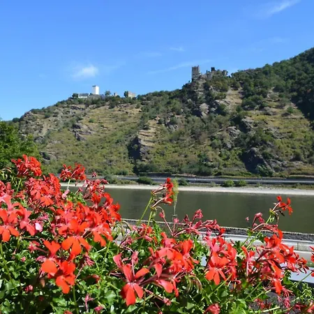 Perle am Rhein-3