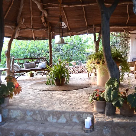 Son Mercadal-3