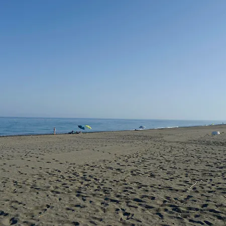 Trh Paraiso-3