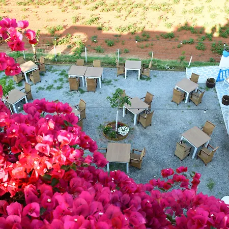 Mila Malia Studios Hotel-3