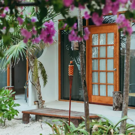 Ventanas Al Mar Beach Front Cozumel (Adults Only)-2