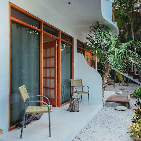 Ventanas Al Mar Beach Front Cozumel (Adults Only)-2