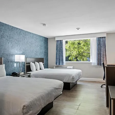 Inn On Arsenal-3