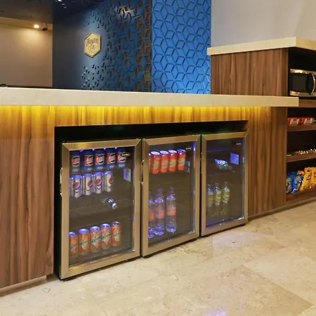 Hampton By Hilton Chihuahua-3