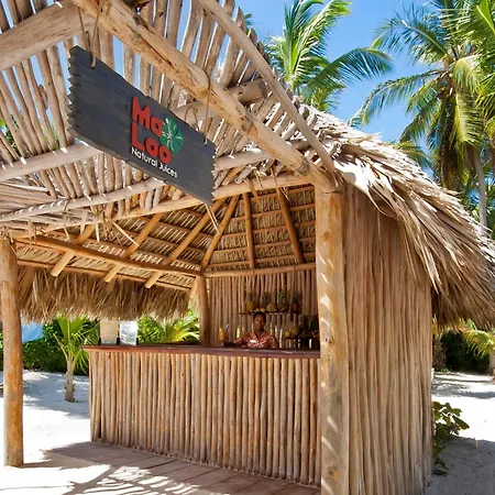Catalonia Royal Bavaro (Adults Only)-2