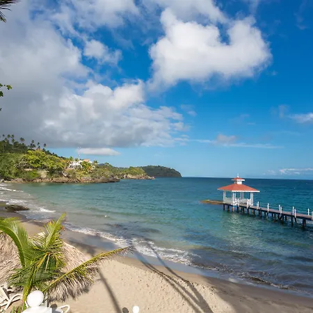 Bahia Principe Escape Samana - Hyatt Inclusive Collection - Adults Only-2