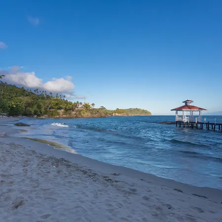 Bahia Principe Escape Samana - Hyatt Inclusive Collection - Adults Only-3