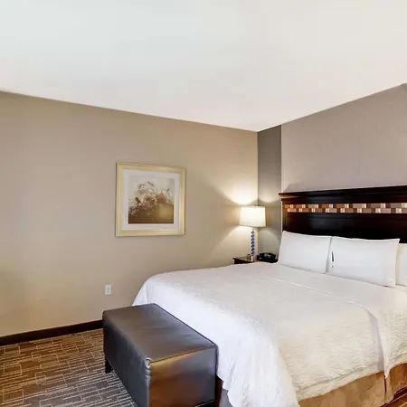 Hampton Inn & Suites Denver Airport / Gateway Park-2