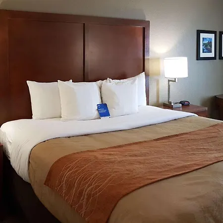 Comfort Inn I-10 West At 51St Ave-3