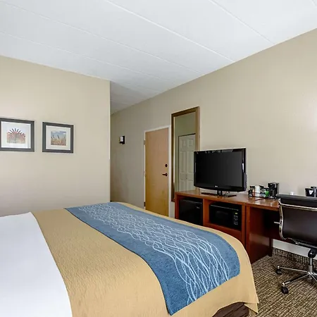 Comfort Inn Indianapolis North - Carmel-2