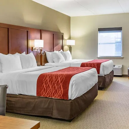 Comfort Inn Lancaster At Rockvale-3