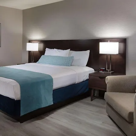 Safari Inn Burbank-Universal, A Coast Hotel-3