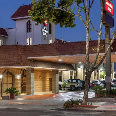 Best Western Plus South Bay Hotel-3