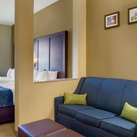 Comfort Inn & Suites Amarillo East-3