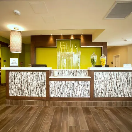 Hilton Garden Inn San Antonio-Live Oak Conference Center-3