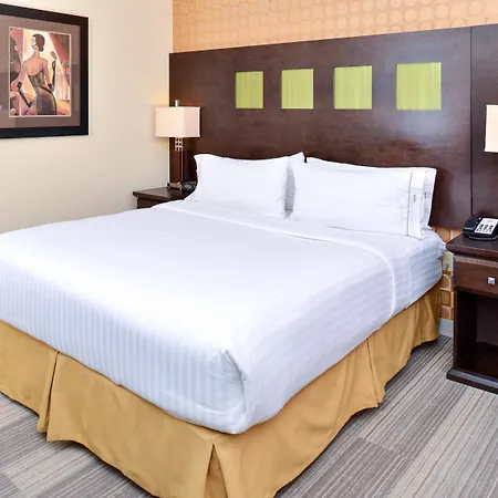 Holiday Inn Express Hotel & Suites Dallas South - Desoto By Ihg-2