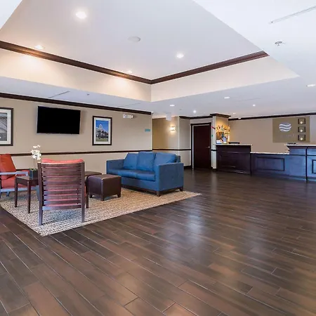 Comfort Inn & Suites Maingate South-2