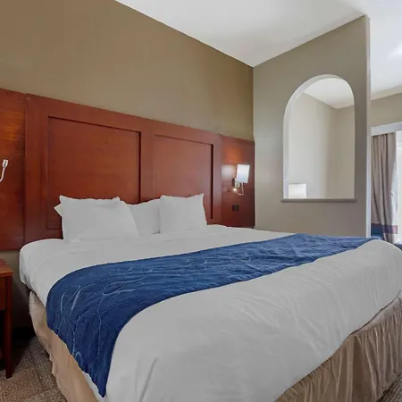 Comfort Suites Gainesville-2