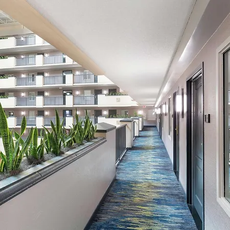 Embassy Suites By Hilton Orlando Airport-3