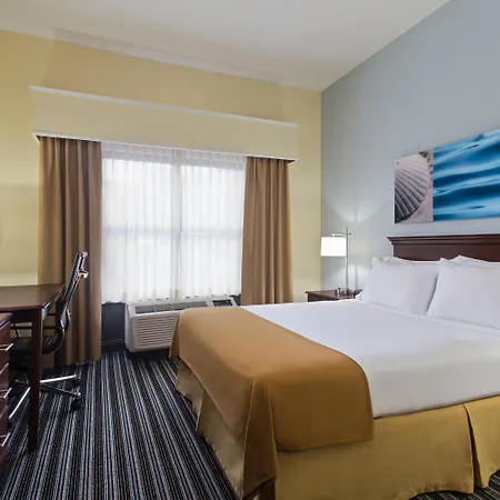 Holiday Inn Express & Suites Clearwater North/Dunedin-3