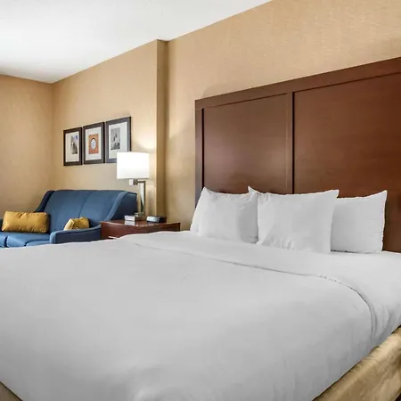 Comfort Inn Meadowlands-3
