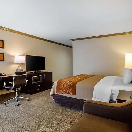 Comfort Inn Castro Valley-2