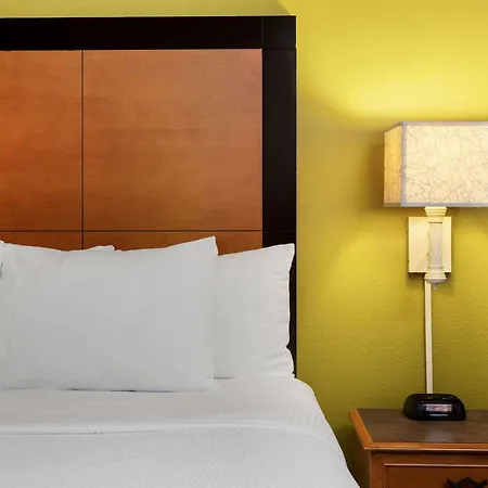 La Quinta By Wyndham St. Pete-Clearwater Airport-3