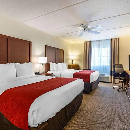 Comfort Inn Kissimmee-Lake Buena Vista South-3