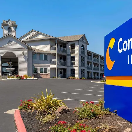 Comfort Inn Antioch - Century Plaza-3